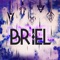 Deja Vu - Briel lyrics