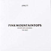 Pink Mountaintops - The Beat