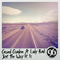 Just the Way It Is (feat. Lady Bird) Song Lyrics