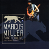 Panther (Live) [feat. Kenny Garrett] - Marcus Miller, Michael Stewart & Bernhard Wright