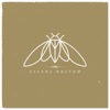 Cicada Rhythm - Static in My Dream