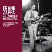 Frank Zappa - Black Napkins (Live)