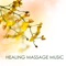 Mystic Healing - Healing Massage Music Masters lyrics