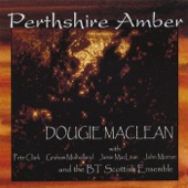 Dougie MacLean - First Movement - Perthshire Amber