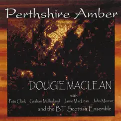 Perthshire Amber by Dougie Maclean album reviews, ratings, credits