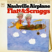 Nashville Airplane artwork