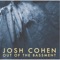 Type 1 - Josh Cohen lyrics