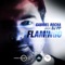 Flamingo (Gabriel Rocha aka DJ PP) - Gabriel Rocha & DJ PP lyrics