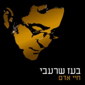 Im Yirtze Hashem artwork