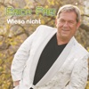 Wieso nicht (Radio Mix) - Single