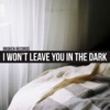 I Won't Leave You In the Dark (Edit) - Single