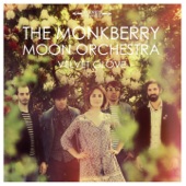 The Monkberry Moon Orchestra - Mr. Spaceman