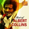 Masters of the Last Century: Best of Albert Collins