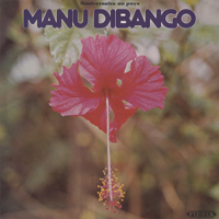 Manu Dibango - Anniversaire Au Pays artwork