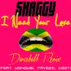 I Need Your Love (Don Corleon Dancehall Remix) [feat. Mohombi, Faydee & Costi] song lyrics