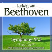 Beethoven. Symphony No.5 artwork