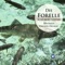 Die Forelle D550 (1990 Remastered Version) artwork