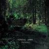 Sundial Aeon - Wolfsberg (Sonic Saturation Remix)