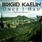 Once I Had (Ballad of Nick Keir) - Brigid Kaelin lyrics