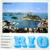 Rio de Janeiro a Janeiro artwork