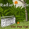 Radio Jungle, 2012