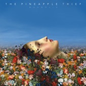 The Pineapple Thief - Alone At Sea