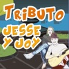 Tributo a Jesse y Joy