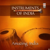 Amazing India (Instruments of India) artwork
