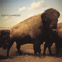 Harder (Ashley Beedle Soultek Vocal Mix) - Single - Kosheen