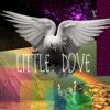 Little Dove artwork