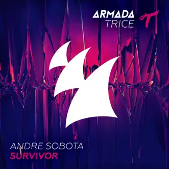 Survivor by Andre Sobota song reviws