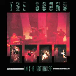 In the Hothouse (Live) - The Sound