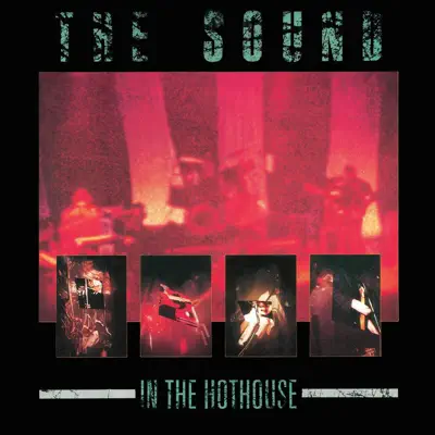 In the Hothouse (Live) - The Sound