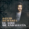 David DeMaría - El aire de Andalucía