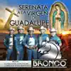 Serenata a la Virgen de Guadalupe album lyrics, reviews, download