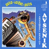 Ansambel Bratov Avsenik - Na Golici