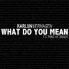 What Do You Mean (feat. Mike Attinger) - Single album lyrics, reviews, download