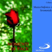 Collana musica sinfonica e strumentale: Momenti di pace (Musica preghiera) artwork