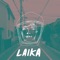 Laika - Jesse Davidson lyrics