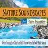 Nature Soundscapes for Deep Relaxation: Stream Sounds, Loon Calls, Rain On a Window, Ocean Surf With Whale Sounds album lyrics, reviews, download