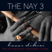 The Nay 3 / Vefa artwork