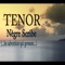 Nègre scribe (Les adventices qui germent) - Tenor lyrics