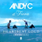 Heartbeat Loud (Andy C VIP) artwork