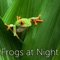 Frogs at Night artwork