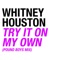 Try It On My Own (Pound Boys Mix) - Single