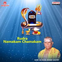 Hari Achuta Rama Sastry - Rudra Namakam Chamakam artwork