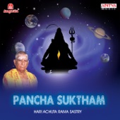 Pancha Suktham artwork