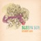 Toys - Sleepy Sun lyrics