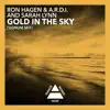 Gold in the Sky (Signum Mix) song lyrics