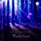 Wonderland (Intro Orchestral Trance Mix) - Kelly Andrew lyrics